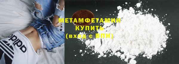 индика Сатка