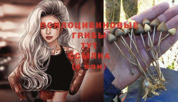 трава Абдулино