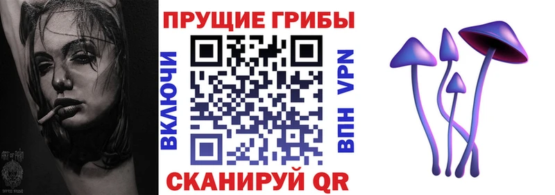 сколько стоит  Ефремов  Псилоцибиновые грибы Psilocybe 