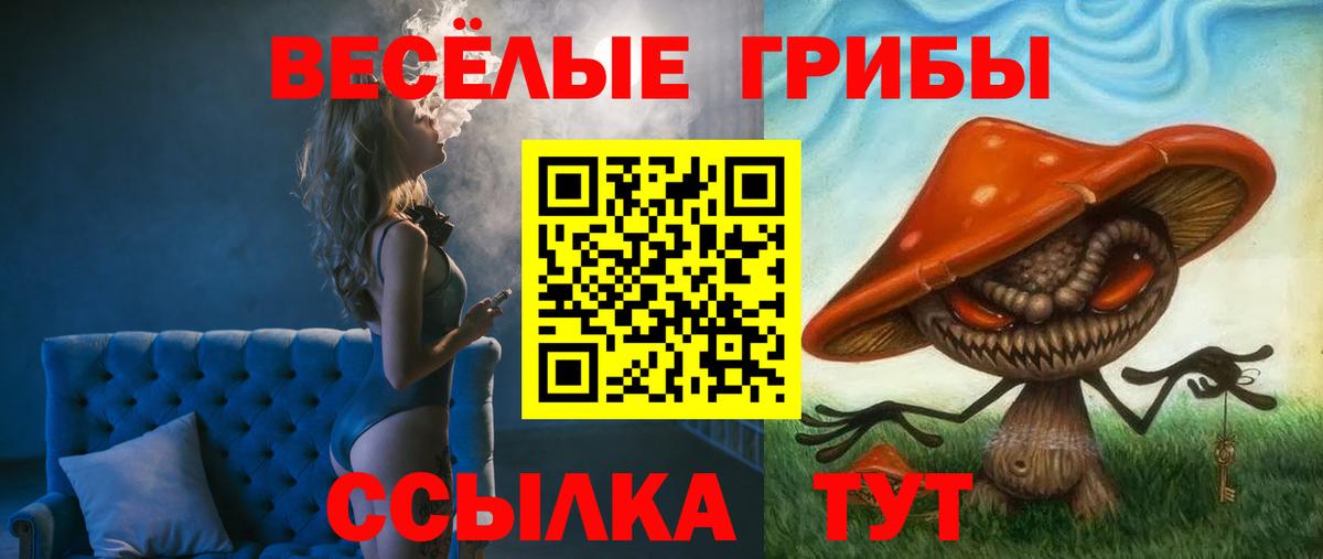 Галлюциногенные грибы мицелий  Вход с VPN  Ефремов 